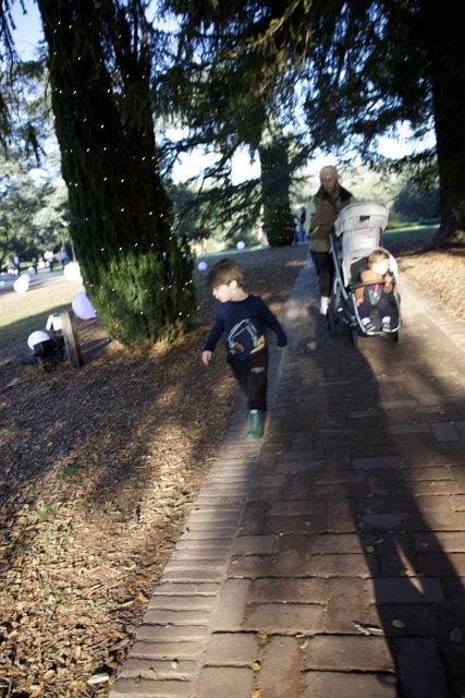 A Stroll Through Thistlewyck
