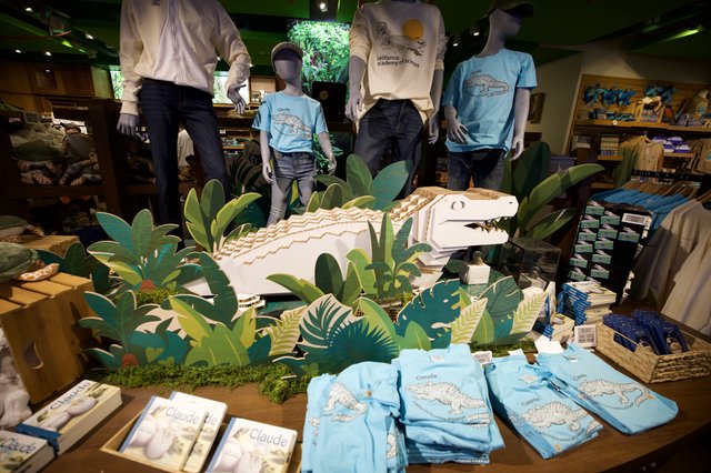 California Academy of Sciences Gift Shop Display