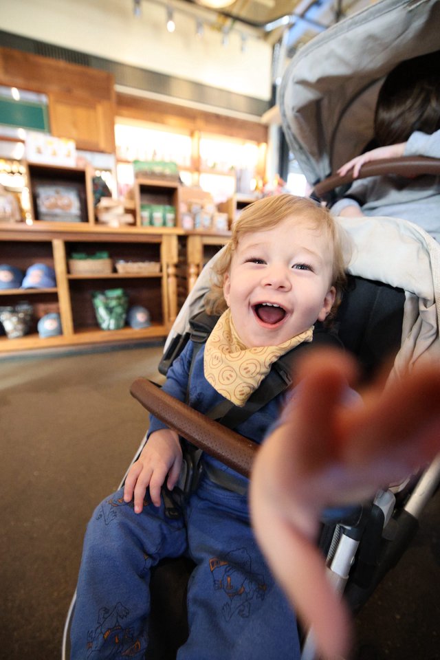 Joyful Toddler in Stroller at Retail Store