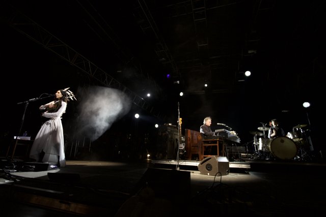 PJ Harvey and Mick Harvey perform with spotlights