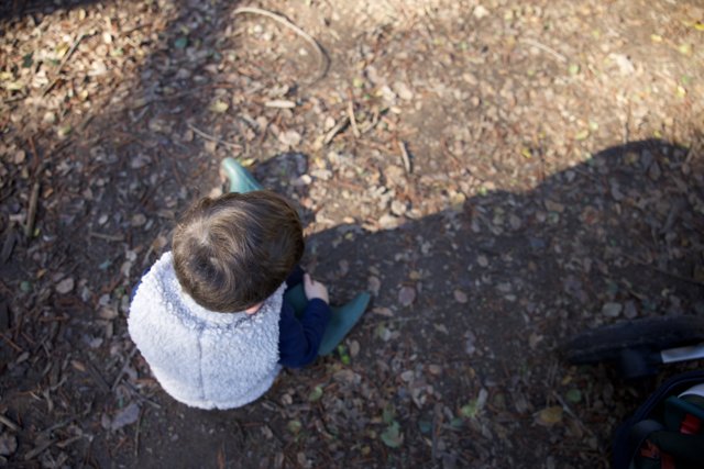Quiet Contemplation at Thistlewyck