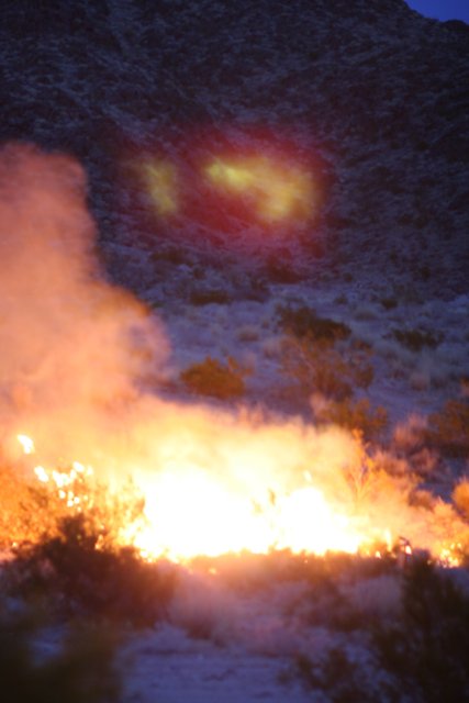 Fiery Flare in the Desert Sky