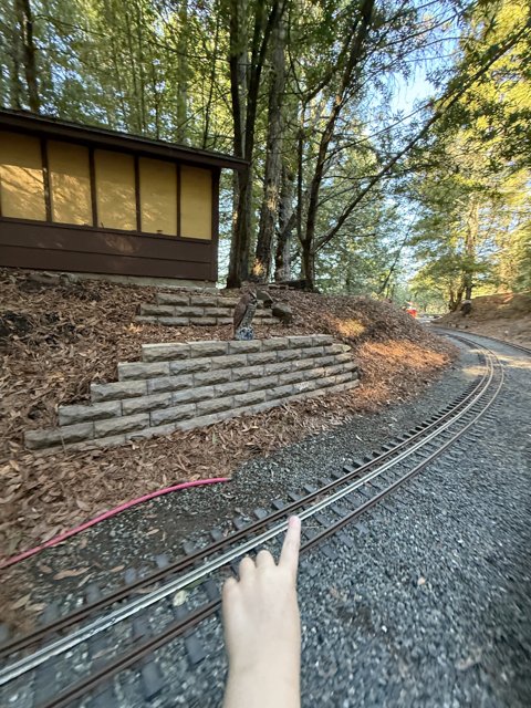 Tranquility at Tilden Tracks