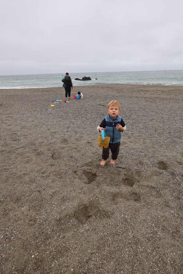 Toddler Explores Foggy Pacific Coast Beach