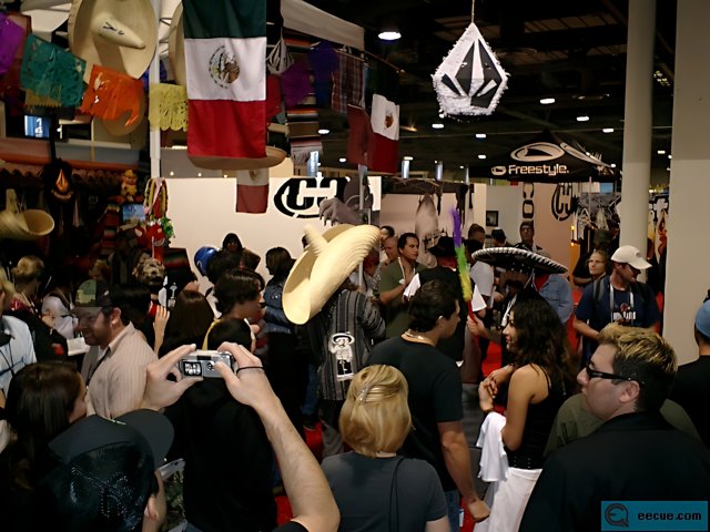 Convention Crowd with Flags and Hats