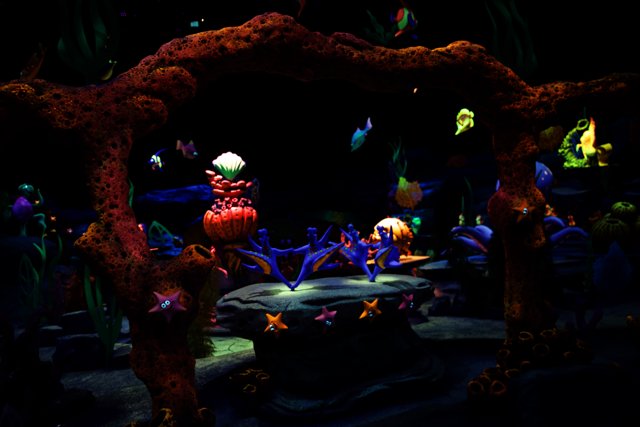 Magical Underwater Encounter at Disneyland