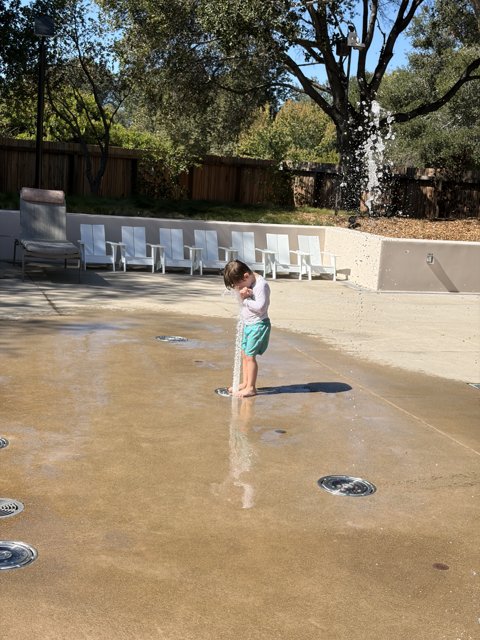 Splash of Joy