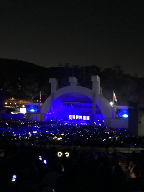 Blue-Lit Explosion: A Vibrant Concert Crowd