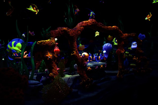 Magical Aquarium Adventure at Disneyland