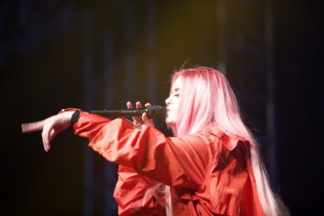 Pink Haired Performer Shines on Coachella Stage