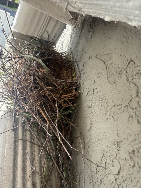 Architectural Nesting