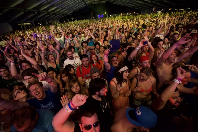 Coachella Night Life: The Wild Crowd