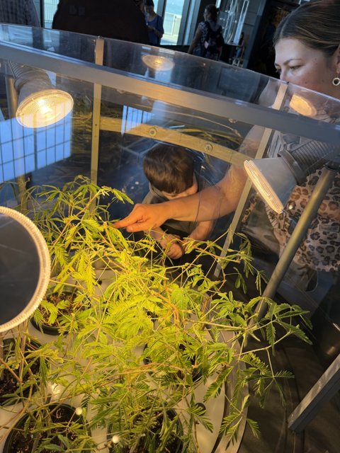 Curious Glimpses at the Greenhouse