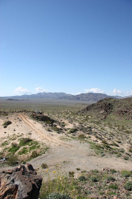 Desert Scenery: A Dirt Road in the Wilderness
