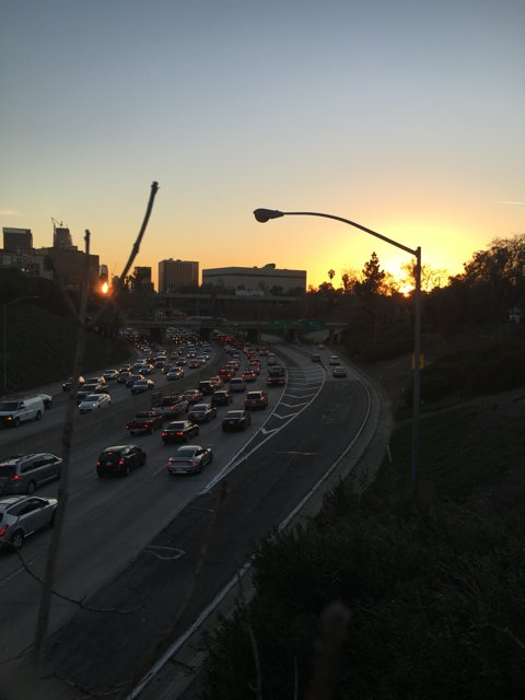 Rush Hour in LA