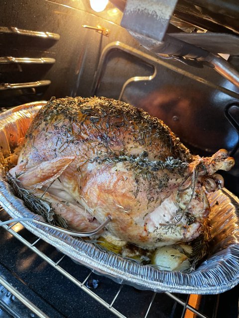 Thanksgiving Turkey Roasting in an Electrical Oven