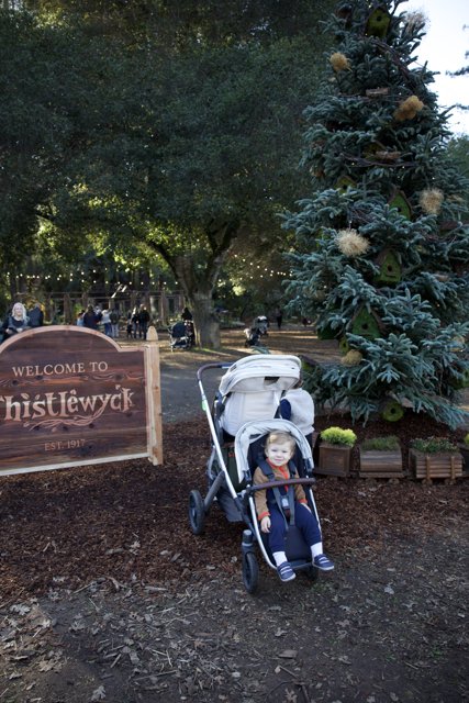 Welcome to Thistlewyck