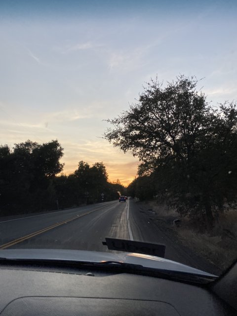 Sunset Drive on the Freeway