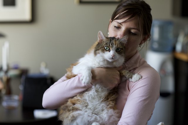 Woman Tenderly Holds Fluffy Calico Cat Indoors