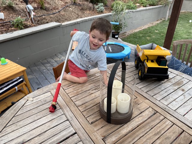 Adventure in the Backyard Oasis