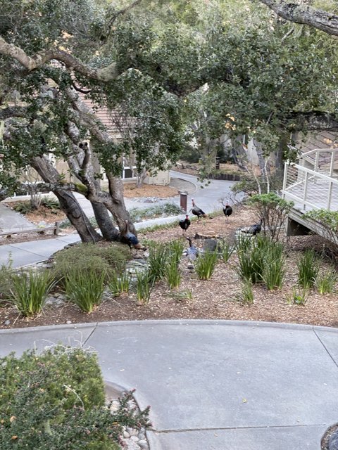 Serene Walkway in Carmel Park