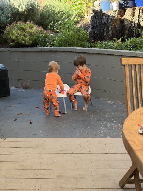Morning Playtime in the Backyard