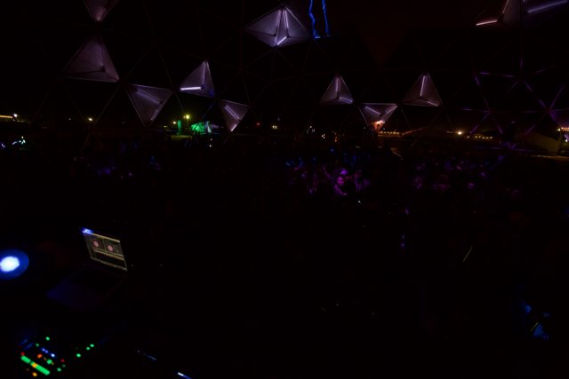 Electric Crowd: Nightlife at Coachella