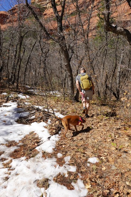 A Man and His Canine Companion Take a Wintery Hike