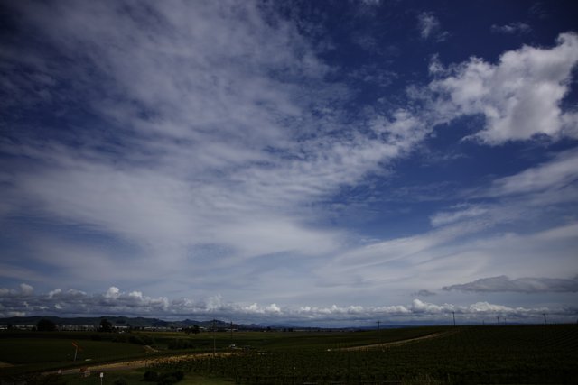 Breathtaking Vineyard Skies at Bouchaine Vineyards