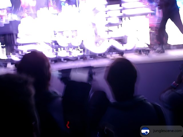 Blurry Nightclub Concert Crowd