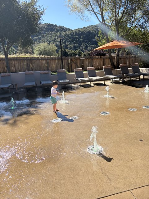 Splash of Joy