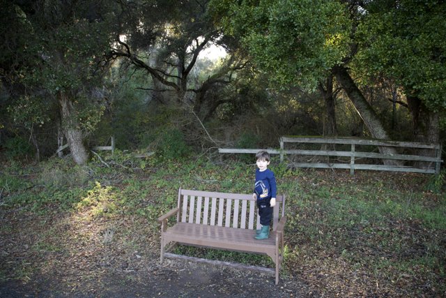 Woodland Wonder at Thistlewyck - Filoli