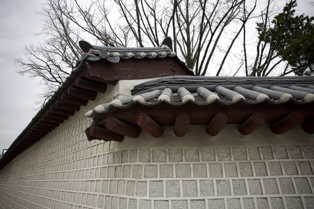 The Architectural Charm of Korea