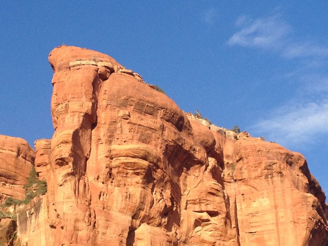 Majestic Cliff in Coconino National Forest