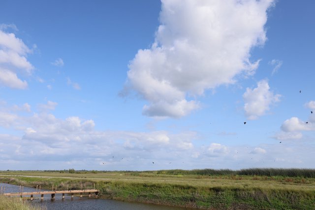 Wooden Pier at Yolo Bypass Wetlands Under Cloudy Sky