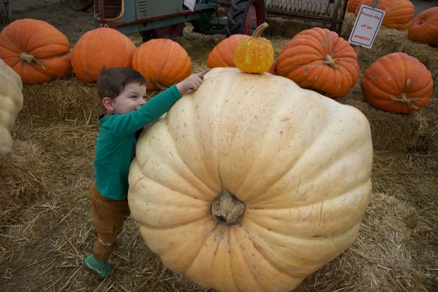 Giant Pumpkin Adventures