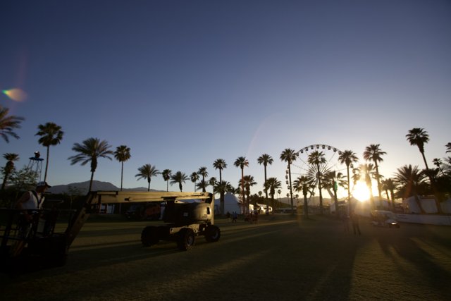 Silhouette of Palm Trees Against the Coachella Sunset