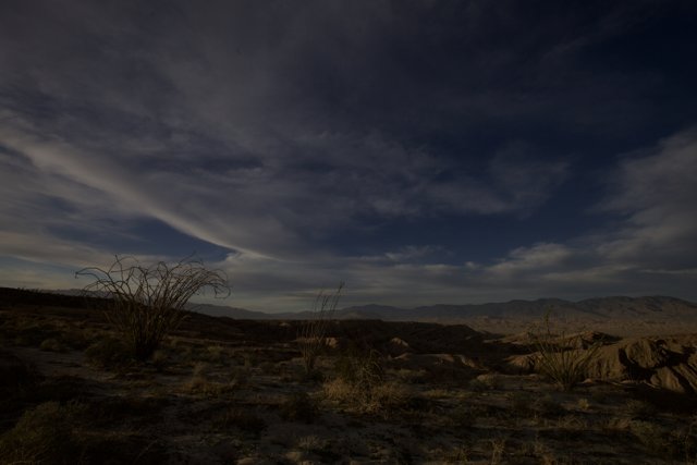 Night Sky Over Anza Borrego Desert