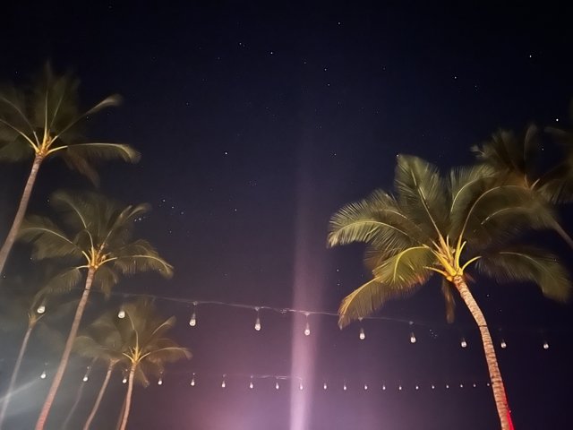 Tropical Paradise Nightscape