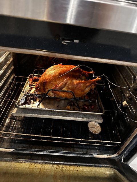 Thanksgiving Turkey in the Oven
