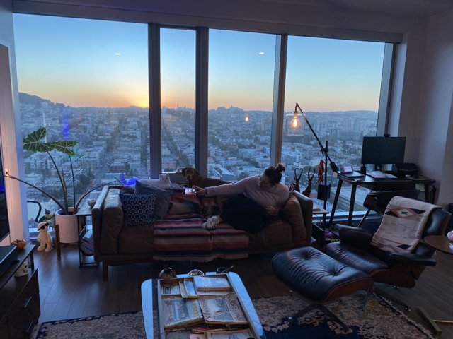 Cozy San Francisco Living Room