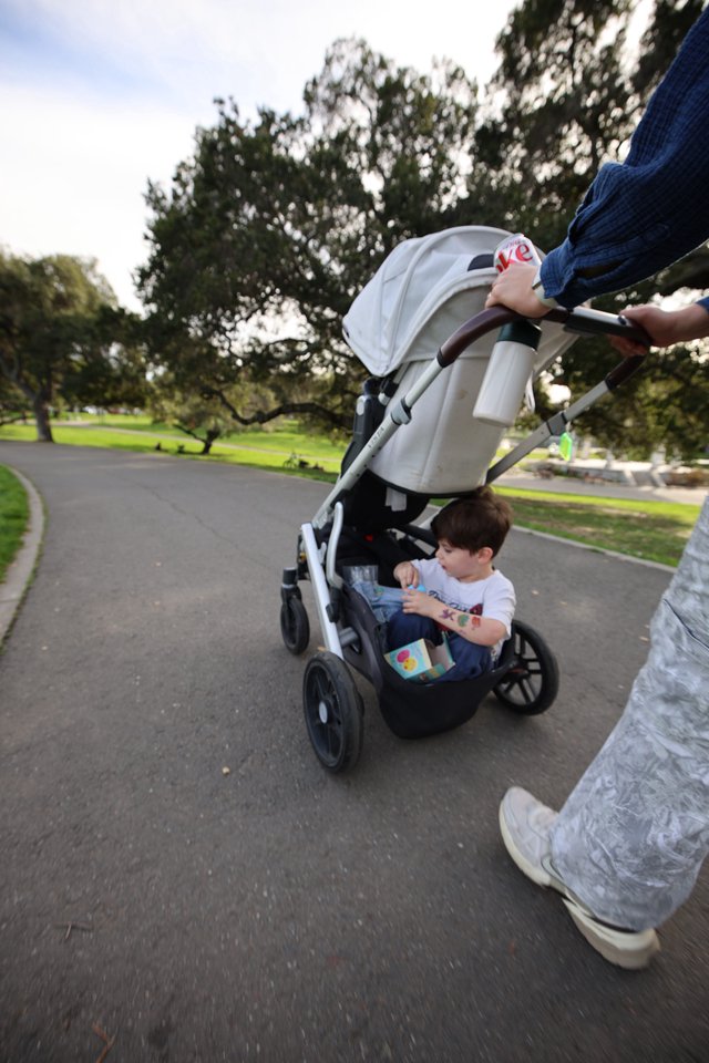 Parent Pushing Child in Stroller Through Park
