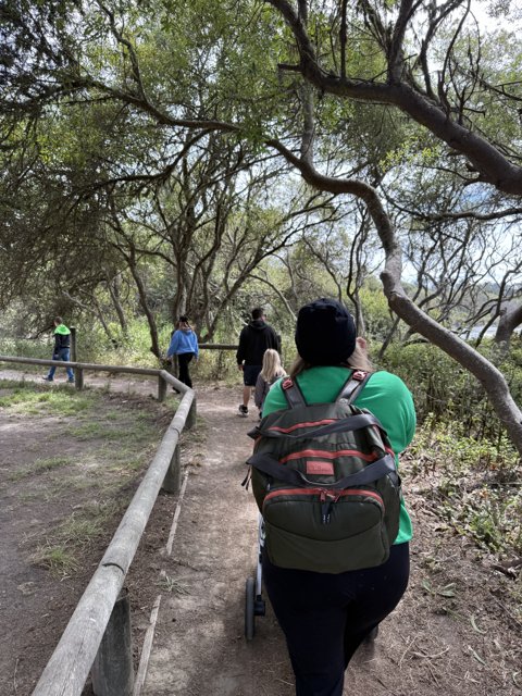Journey Through the Woods