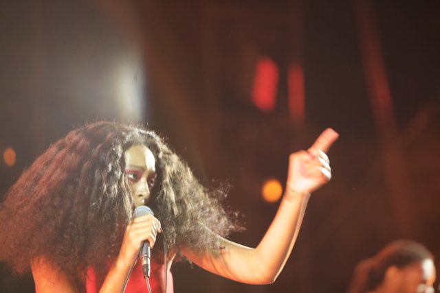 Solo Performance by Solange at FYF Bullock 2015