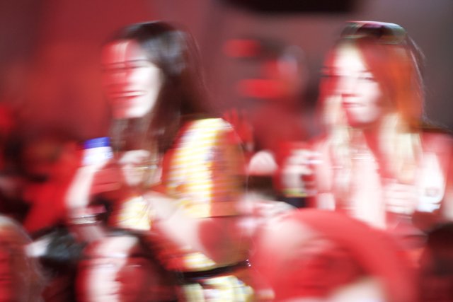 Blurry Concert Buddies