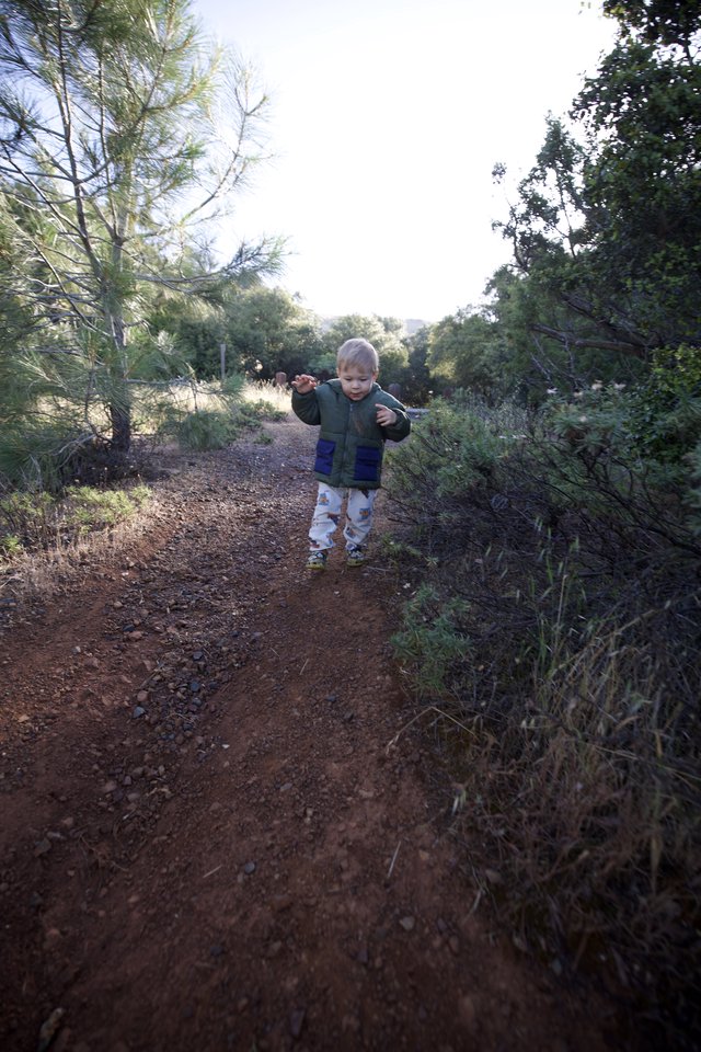 Toddler Explores Dusty Trail at Mount Diablo