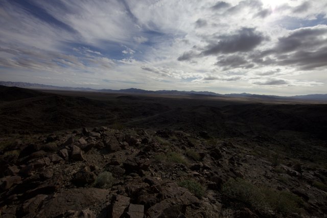 Scenic View of the Joshua Tree Desert Plateau
