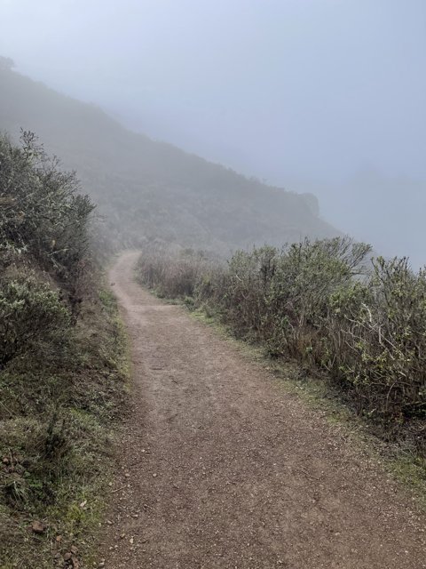 A Foggy Path to the Mountain
