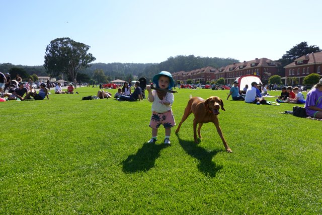 Summertime Companionship: Child and Dog at the Park