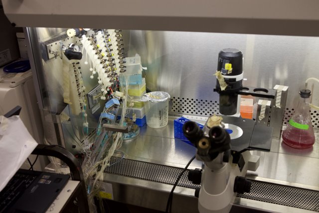 Inside the Micro Bio Chip Lab
